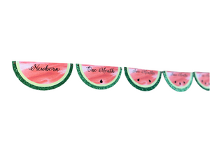 Watermelon photo milestone sweet one in a melon first birthday display 
