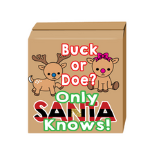 Load image into Gallery viewer, Buck or doe gender reveal box santa gender reveal party