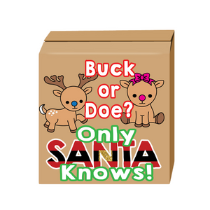 Buck or doe gender reveal box santa gender reveal party