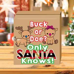 Buck or Doe Santa Gender Reveal Box