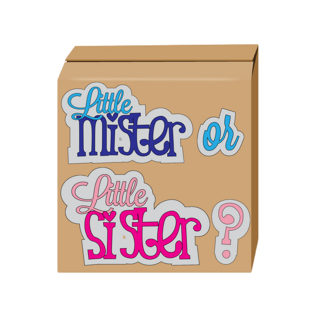 Little Sister or Little Mister Gender reveal box