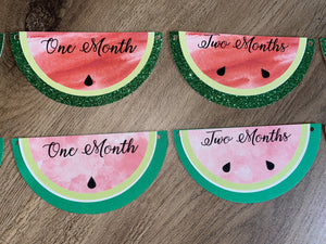 Watermelon photo milestone sweet one in a melon first birthday display glitter watercolor options 