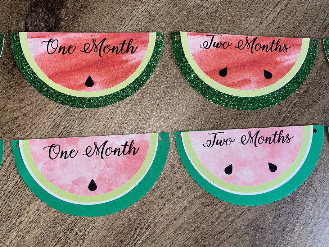Watermelon Milestone Banner